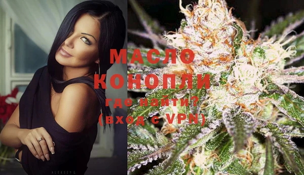 индика Корсаков