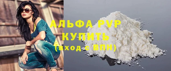 крисы Кулебаки