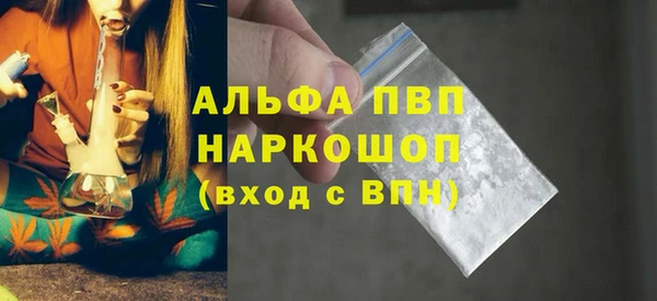 индика Корсаков
