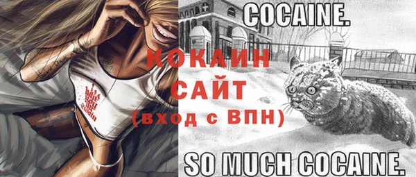 индика Корсаков