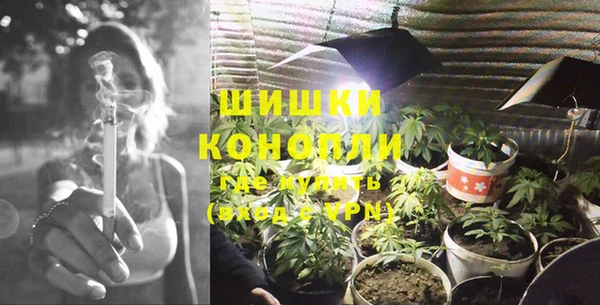 крисы Кулебаки