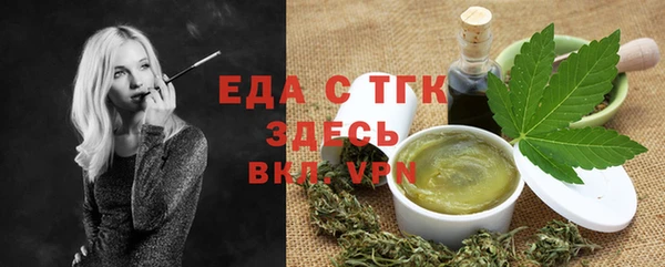 индика Корсаков