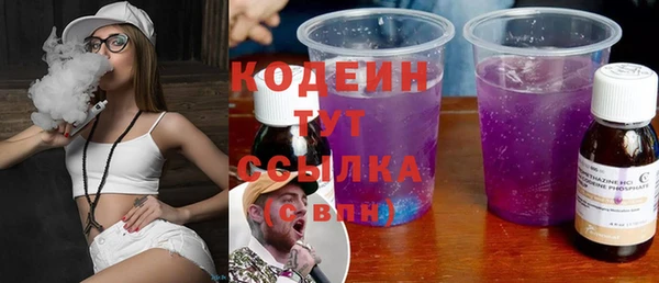 индика Корсаков