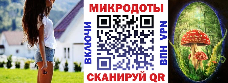 Купить закладки  Беломорск  Галлюциногенные грибы Psilocybe 