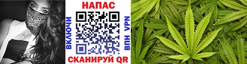 Купить где  Беломорск  Каннабис Bruce Banner 